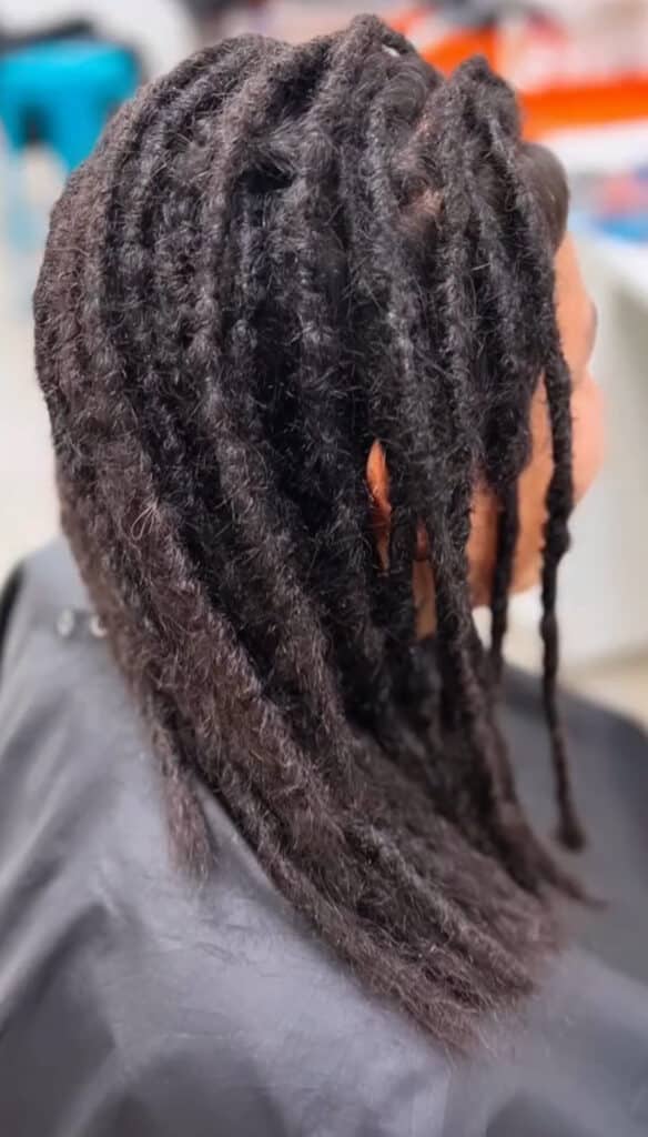 starter locs on naturally long dark hair